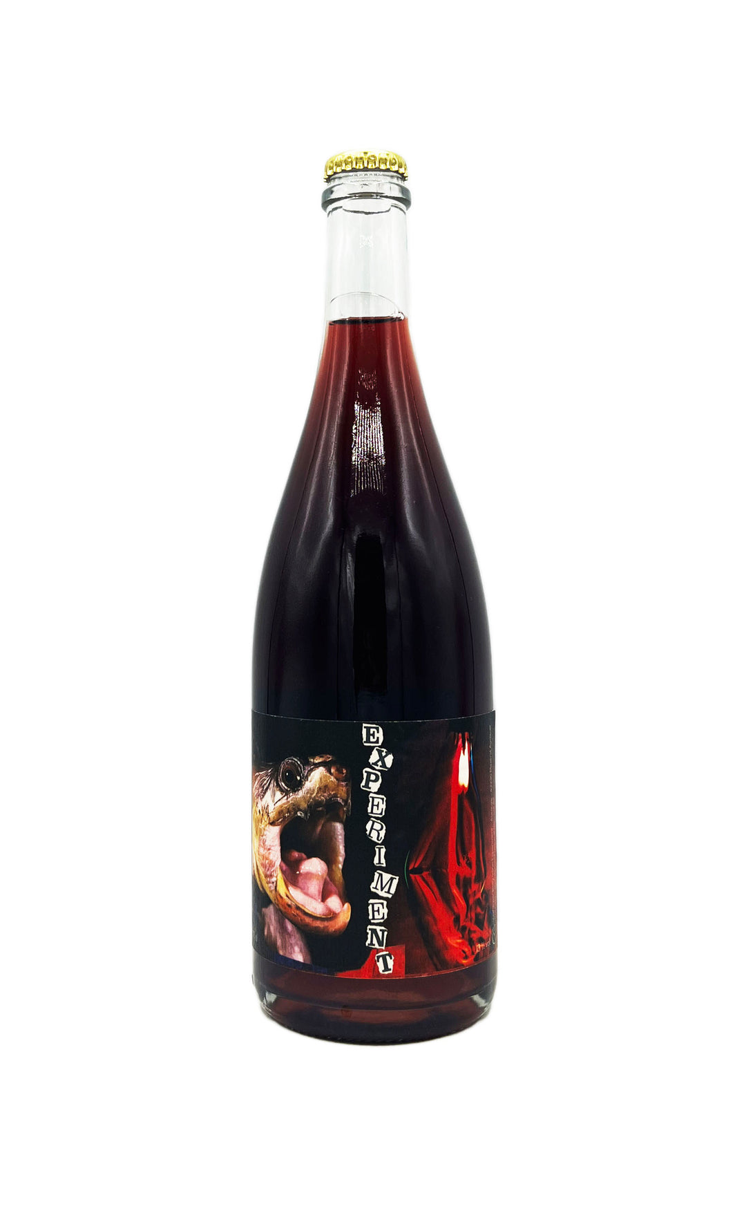 Belly Wine Experiment &