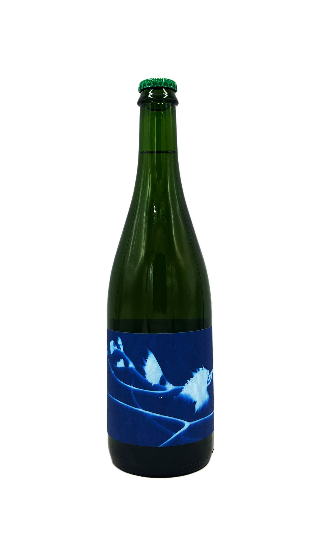 Thomas Puechavy VDF Les Rayon Blanc 2023 - Wine Therapy NYC