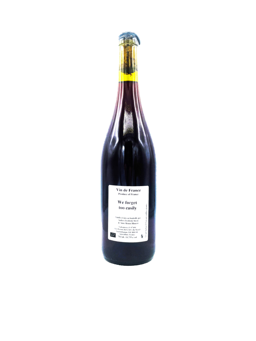 Anders Frederik Steen We forget too easily 2019 - Wine Therapy NYC