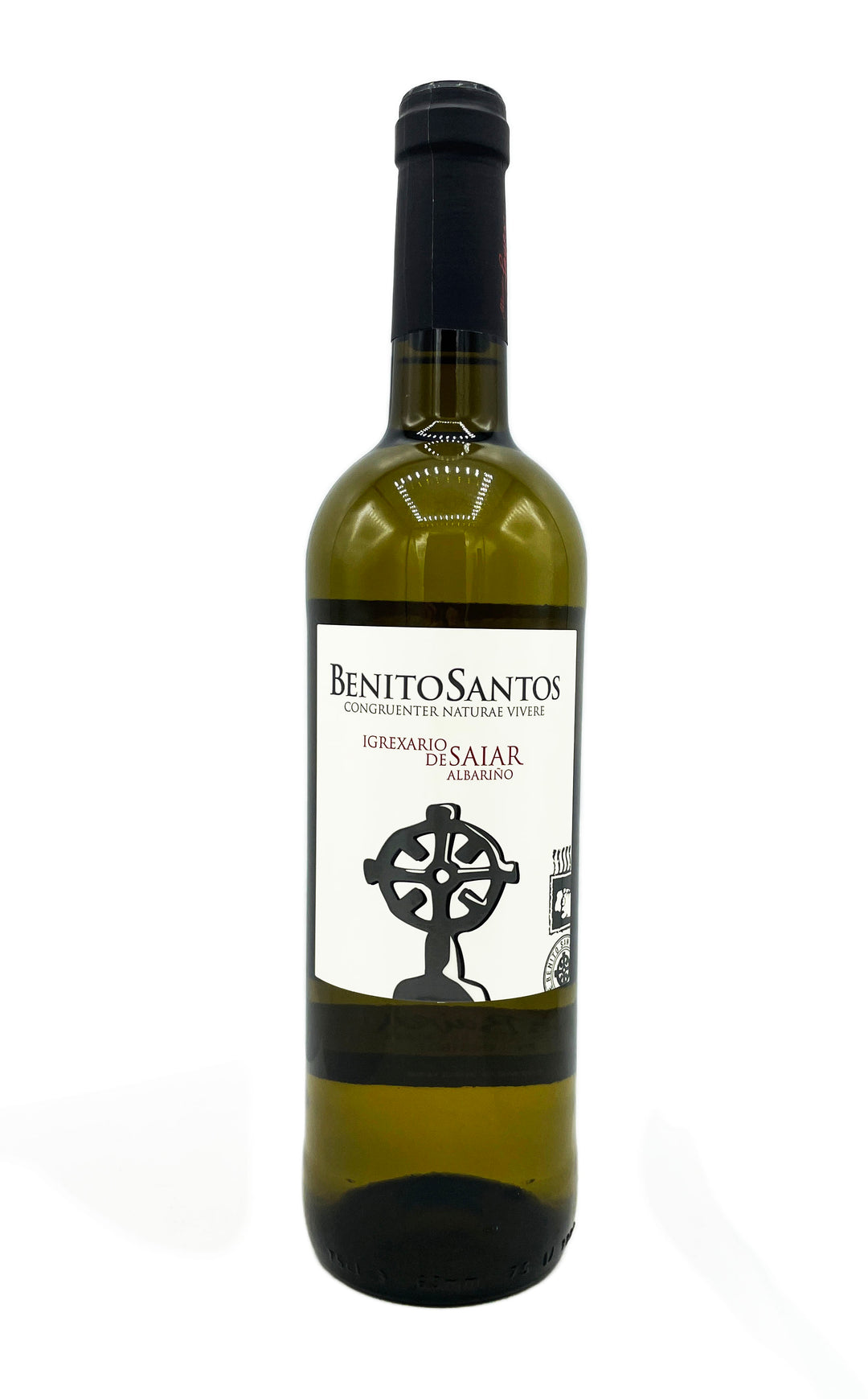 Benito Santos Saiar Albarino Rias Baixas 2021 - Wine Therapy NYC