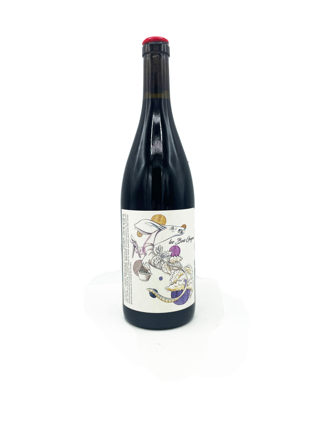 Francois Saint-Lo Bois Guyon 2019 - Wine Therapy NYC
